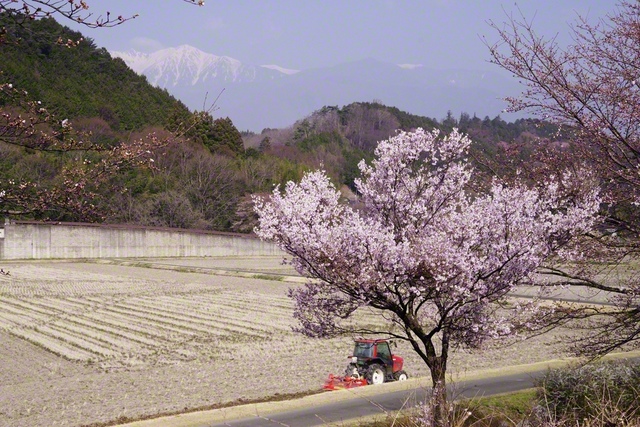 農作業が始まる（3月29日、駒ケ根市、小松恵三通信員）