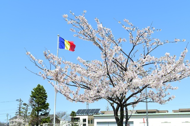 三色旗がたなびく瞬間を待ちました