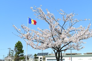 三色旗がたなびく瞬間を待ちました