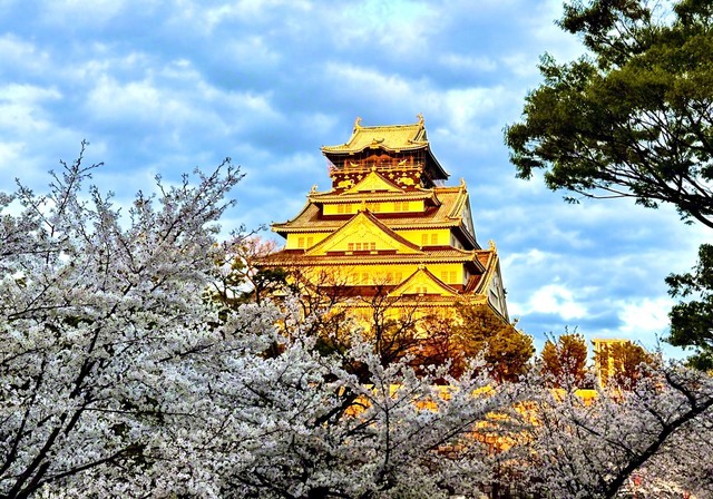 大阪城（川端利行通信員撮影）