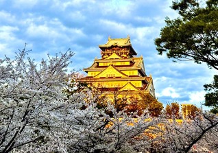 大阪城（川端利行通信員撮影）