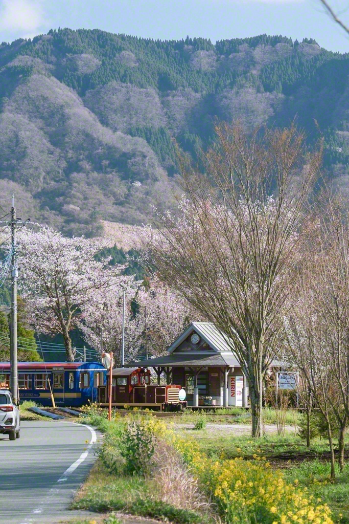 いつ来ても、四季折々の魅力に包まれる阿蘇をまた訪れたい