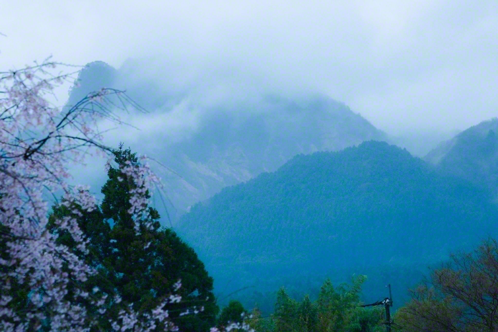 雨が降る阿蘇。山と草原の地下を通り、ろ過された天然水が生まれる