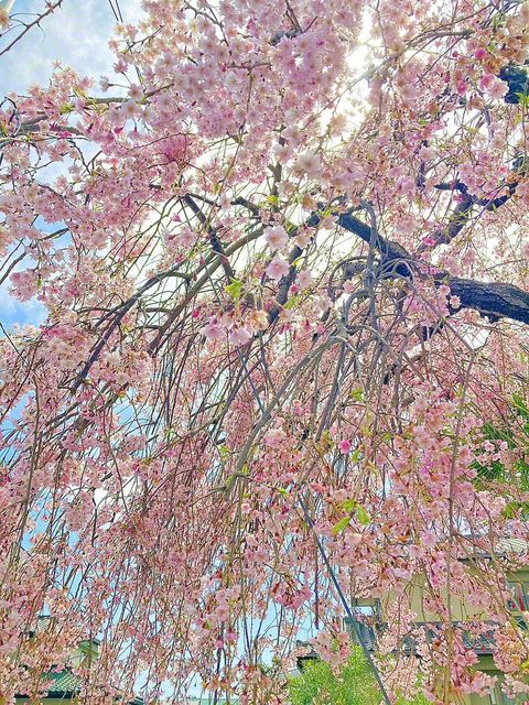 仙台市宮城野区＝中澤万里子通信員