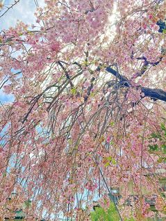 仙台市宮城野区＝中澤万里子通信員