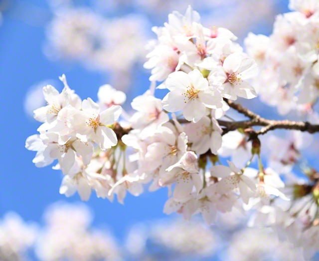 金沢・大乗寺丘陵公園