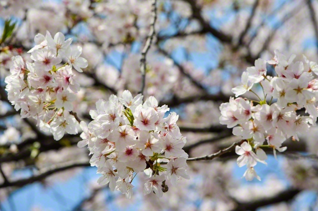 春日井中央会館で（牧久美子通信員）