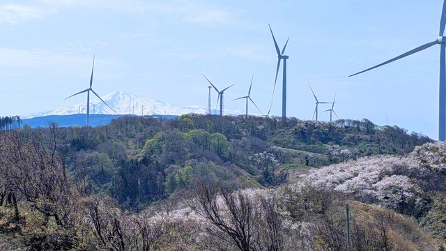 風車の向こうに鳥海山、足元には花景色。良い眺めに引き寄せられて