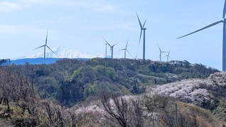 風車の向こうに鳥海山、足元には花景色。良い眺めに引き寄せられて