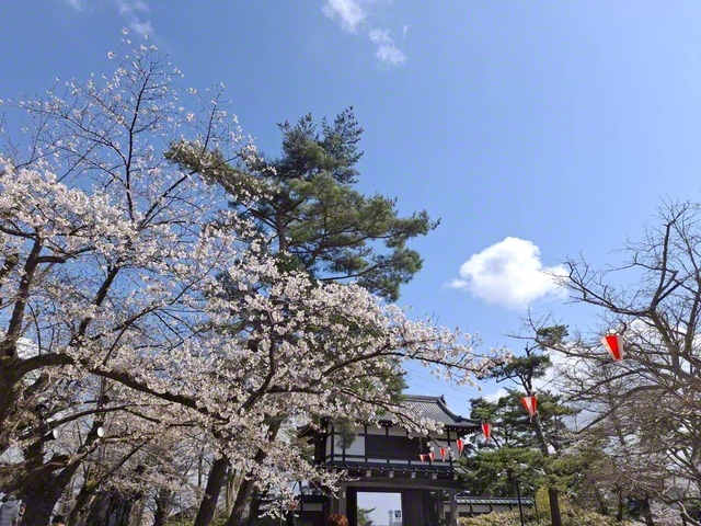 今年の冬は雪が多かったので、春の訪れを待ちわびた人も多かったはず。私もその一人です