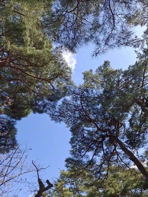 空のように、すがすがしくありたいと思った一日でした