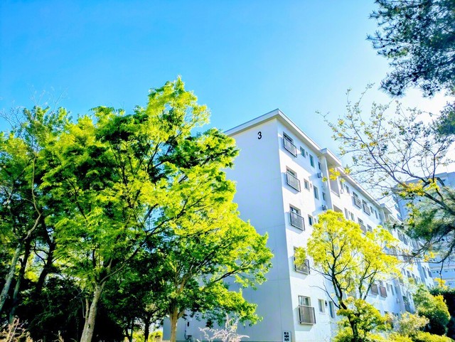 木々の新緑が陽光に映える（広島市東区、梅木京子通信員）