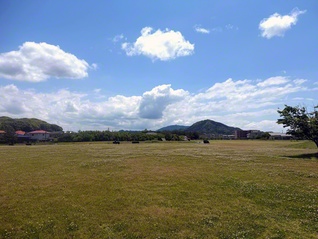 「いせきんぐ宗像」に到着！　ひろーい！
目の前に広がる原っぱ。奥には、福岡県宗像市と福津市にまたがる許斐山。ここが、古代の王が眠っていた場所。ロマンの匂いがする