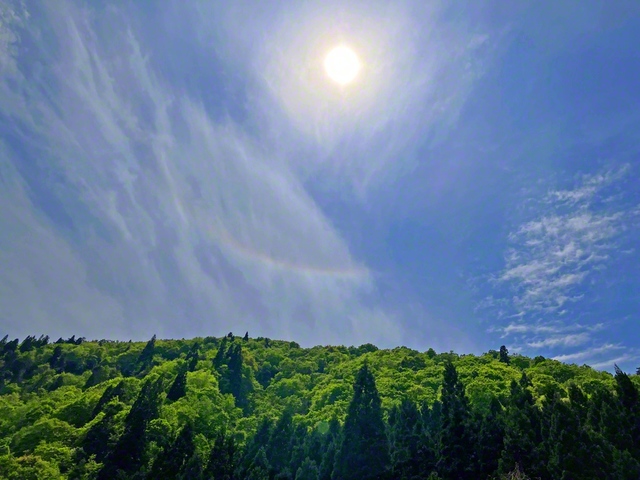 新緑の森の上に現れた彩雲。太陽の光が七色を描き、空に幻想的な姿が現れた（伊藤法雄通信員撮影）