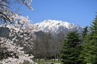 澄んだ空気と春の日差しの中で（4月12日、大町市、小林充通信員）