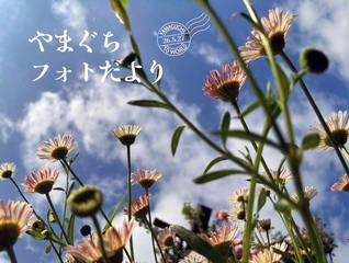 生き生きと空に向かって咲く花々（5月24日、長門市、津嶋恵美通信員）