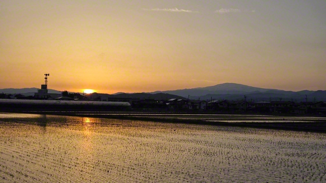 水田に夕日が映り、月山が奥にそびえる