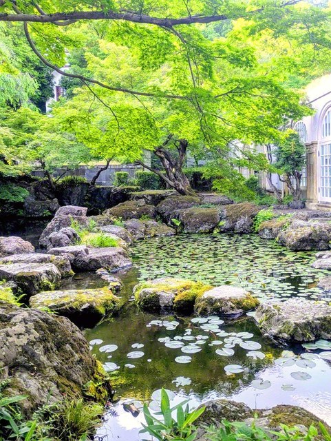 大山崎町　アサヒグループ大山崎山荘美術館（岩本直子通信員）