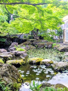 大山崎町　アサヒグループ大山崎山荘美術館（岩本直子通信員）