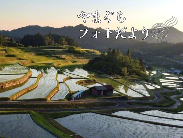 県内最大規模の面積を誇る「中須北の棚田」。夕日が水田をオレンジ色に染める（5月31日、周南市、本幡由美子通信員）