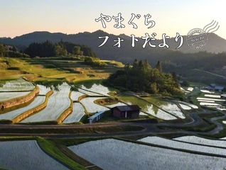 県内最大規模の面積を誇る「中須北の棚田」。夕日が水田をオレンジ色に染める（5月31日、周南市、本幡由美子通信員）