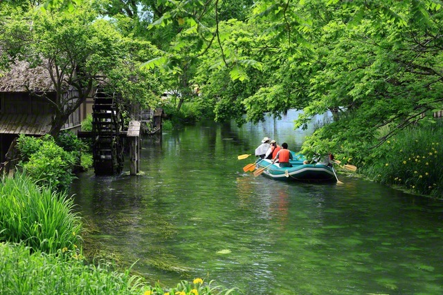 水車を眺めつつ、ボートが進む（5月16日、安曇野市・大王わさび農場、小林充通信員）