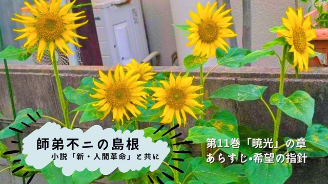 夏の訪れを感じるヒマワリ（浜田市、濱田涼子通信員）