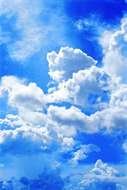 陽光を浴びて、夏空に浮かぶ白い雲。1996年6月、池田先生がアメリカ・フロリダ州のマイアミで撮影しました。翼を広げて舞う鳥の姿も見られます。先生はSGI総会に出席し、“自身が光り輝く存在となり、周囲を、地域を、人類を照らしていこう”と呼びかけました