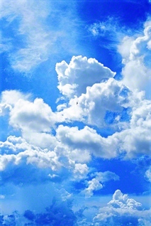 陽光を浴びて、夏空に浮かぶ白い雲。1996年6月、池田先生がアメリカ・フロリダ州のマイアミで撮影しました。翼を広げて舞う鳥の姿も見られます。先生はSGI総会に出席し、“自身が光り輝く存在となり、周囲を、地域を、人類を照らしていこう”と呼びかけました