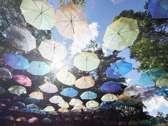 夏空を色とりどりの傘が埋め尽くす（8月9日、旭川市、宮崎尚美）